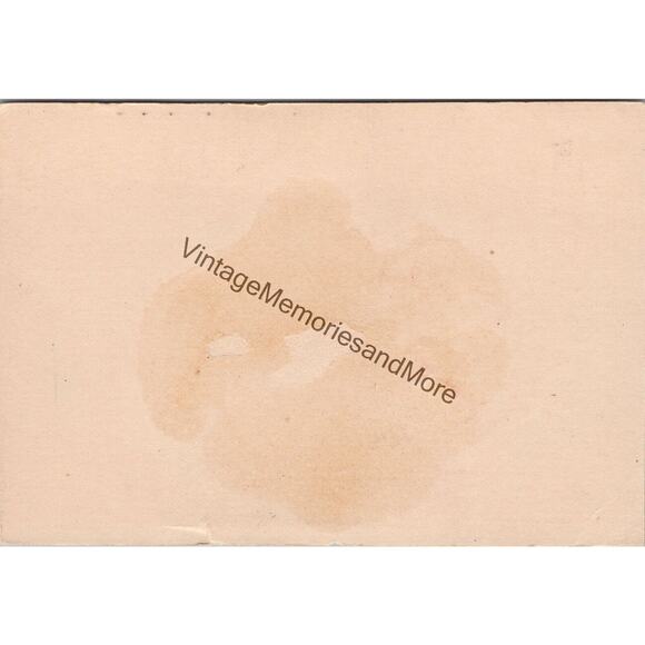 Vintage Vouwie Bro's Forest City Baking Powder Advertising Trade Card PB23 - Picture 2 of 2